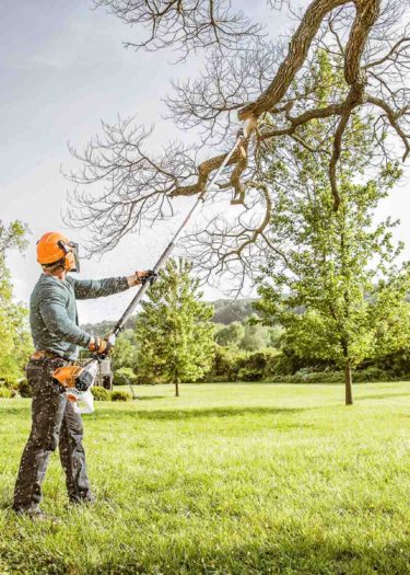 Tree-trimming-from-ground